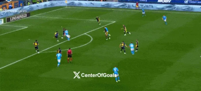 开云-那不勒斯1-1帕尔马多赛1场落后国米6分,麦克托米奈破门